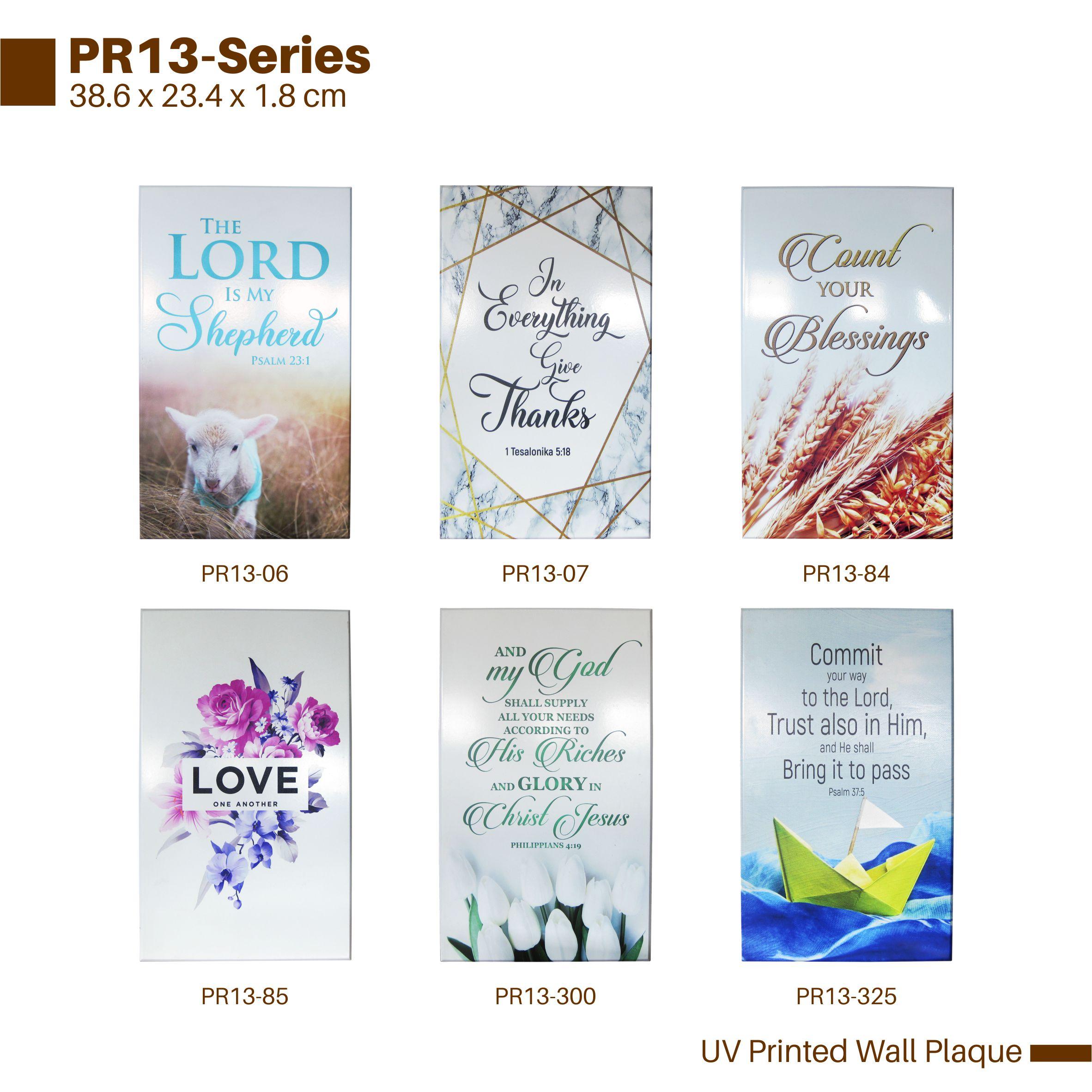 PR13-Series
